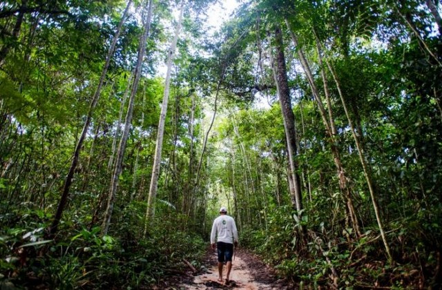 Senado aprova IPTU Verde de incentivo &agrave; preserva&ccedil;&atilde;o ambiental