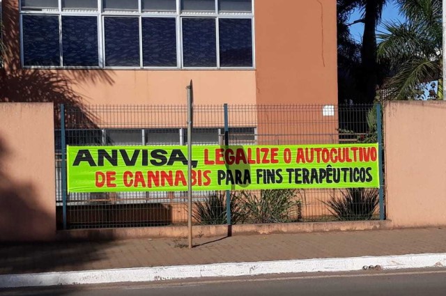 liberação da maconha