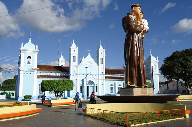 Borba amazonas