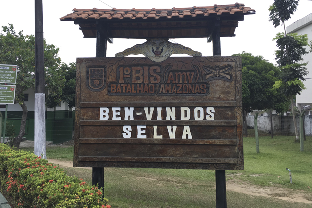 Como sobreviver na selva?