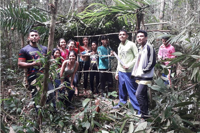 Musa é santuário para conhecer a flora amazônica no Dia da Árvore