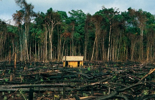 Conflitos de terra no Acre., Acervo