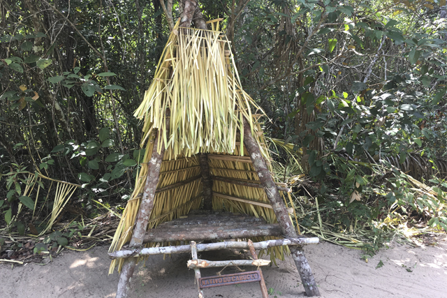 Sobrevivência na Floresta / Como Sobreviver na Selva? 