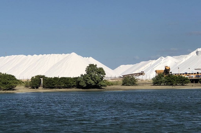 indústria de sal