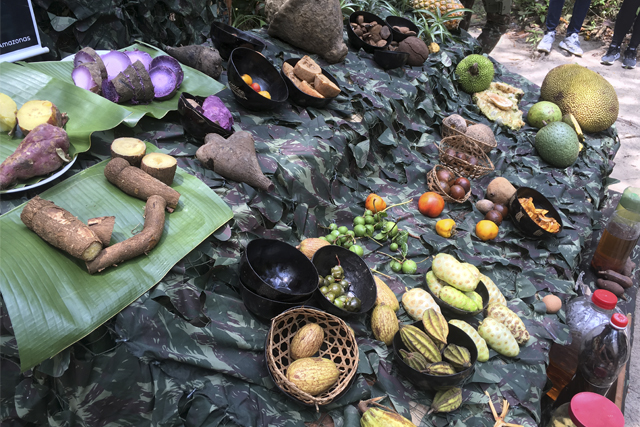 Sobrevivência na Amazônia