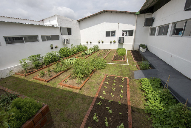 horta-doutor-thomas
