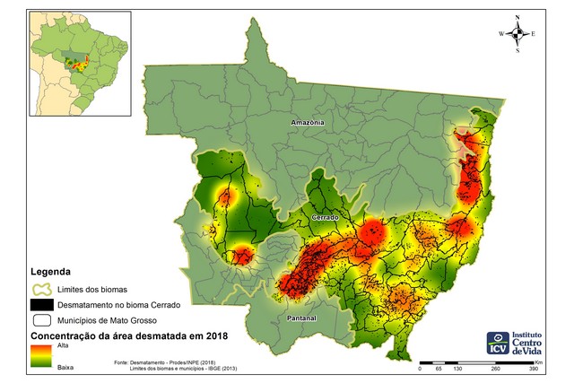Metade do Cerrado que desapareceu em 2018 estava em apenas 15 municípios, sendo Paranatinga o primeiro do ranking (Foto: Instituto Centro de Vida/Reprodução)