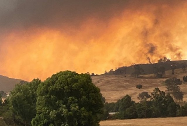 A área devastada pelo fogo na Austrália já ultrapassa os 10 milhões de hectares (Foto: Cruz Vermelha/Fotos Públicas)