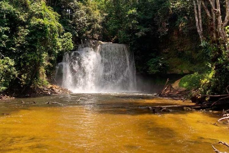 Cachoeira Da Neblina: Maior Queda D’água De Presidente Figueiredo Em ...