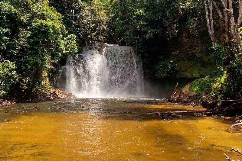 Cachoeira da Neblina: maior queda d’água de Presidente Figueiredo em