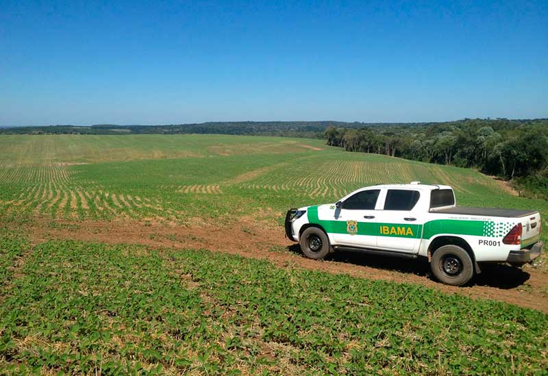 O desmatamento de 14.502 hectares registrado mais uma vez está concentrado na Bahia, em Minas Gerais e no Paraná (Foto: Ibama/Divulgação)