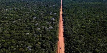 Edital é para asfaltar 52 quilômetros da BR-319 (Foto: Dnit/Divulgação)