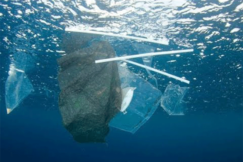 Canudos de plásticos representam 4% da poluição em mares e rios Foto: YouTube/Reprodução)