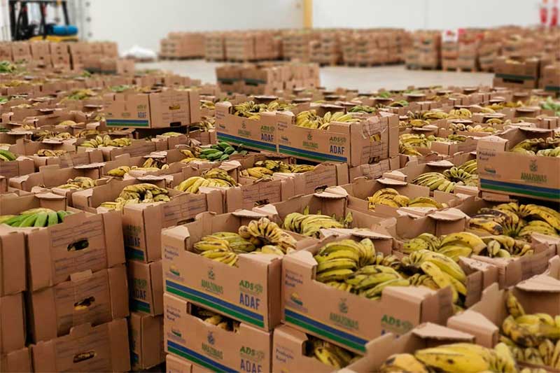 Bananas constam na cesta de Natal para entidades assistenciais (Foto: ADS/Divulgação)