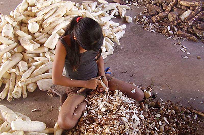 Trabalho infantil envolve 1,8 milhão de jovens (Foto: Ministério do Trabalho/Divulgação)
