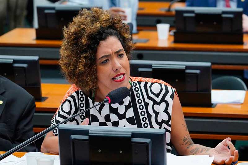 Deputada Talíria Petrone apresentou projeto de Lei (Foto: Pablo Valadares/Agência Câmara)