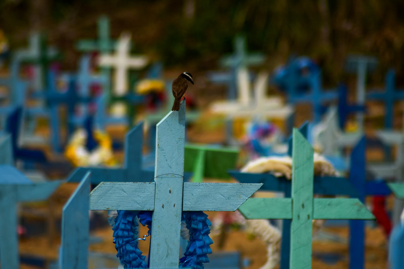 cemitério de Manaus