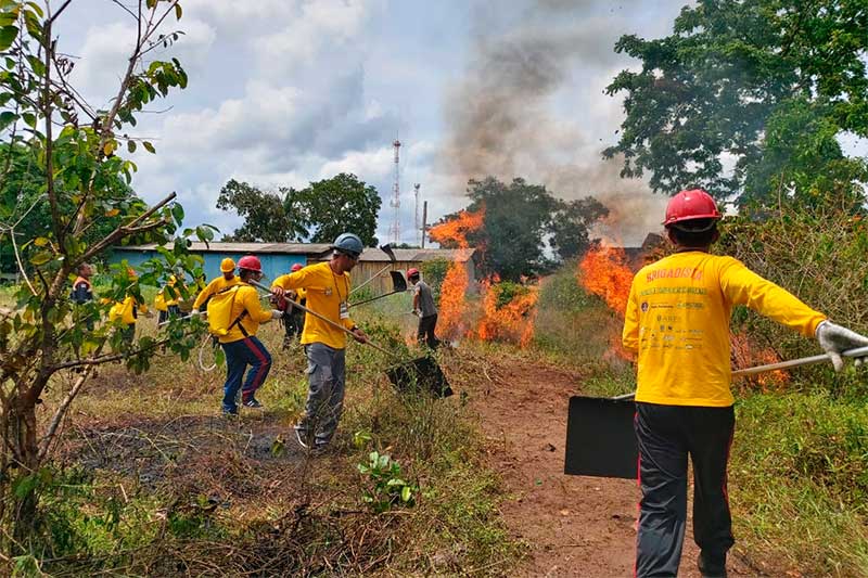 Brigadistas aprendem a obter recursos para projetos ambientais (Foto: FVA/Divulgação)
