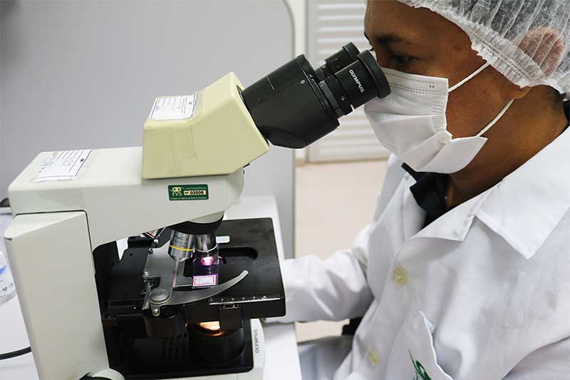Pesquisador observa amostra em exame para identificar doença (Foto: Eduardo Prado/FVS-AM)