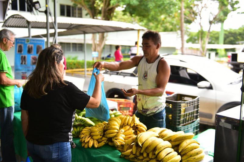 banana amazonas