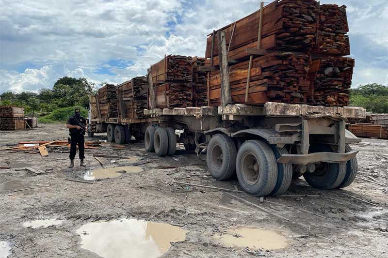 Carreta com madeira também foi apreendida (Foto: PF-AM/Divulgação)