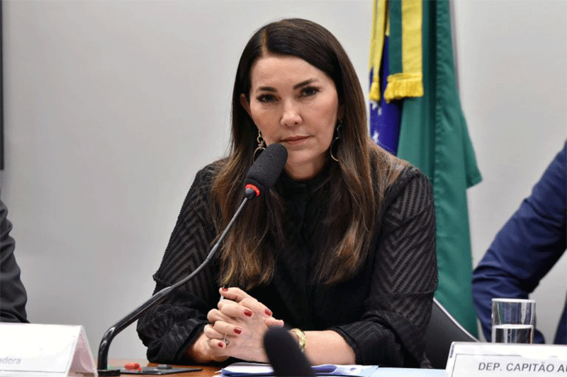 Deputada Margarete Coelho defende mais clareza da Lei das Inelegibilidades (Foto: Reila Maria/Agência Câmara)