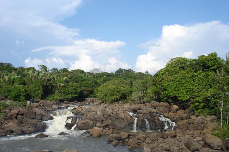 Floresta Nacional de Jacundá