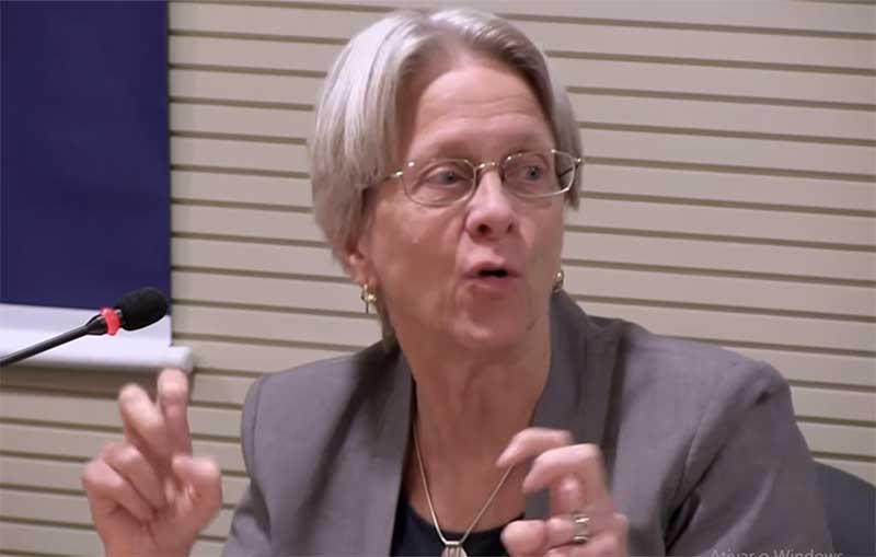 Susan Rose-Ackerman é estudiosa da corrupção (Foto: YouTube/Reprodução)