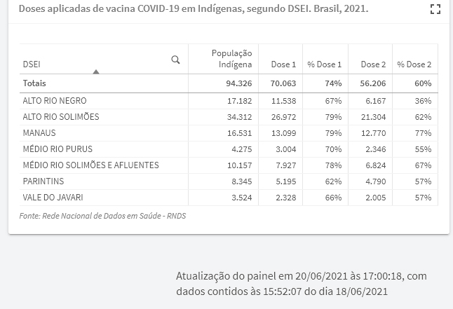 vacinacao indigenas dseis no amazonas