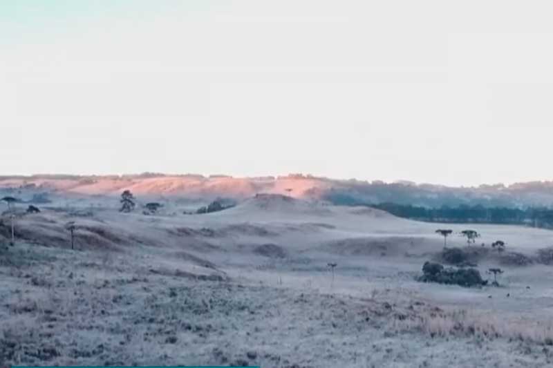 Geada cobriu de branco campos em Santa Catarina (Foto: YouTube/Reprodução)