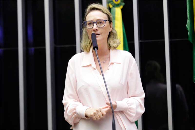 Deputada Maria do Rosário apresentou o projeto de lei (Foto: Michel Jesus/Agência Câmara)