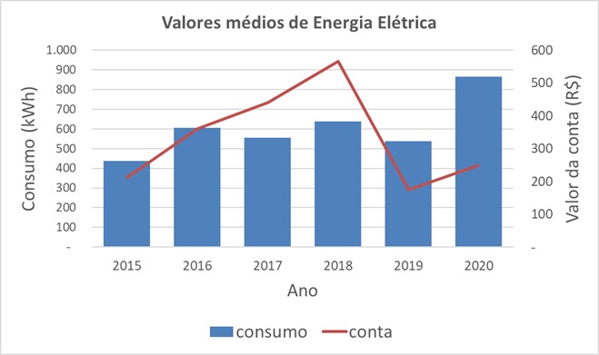 Média anual de consumo e valor da conta na residência de Danilo (Foto: Arquivo Pessoal)