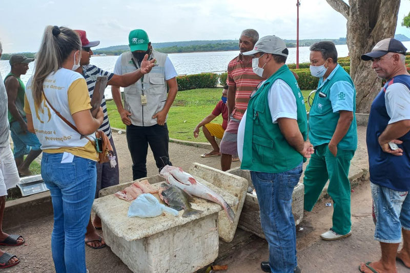 venda de peixes em silves