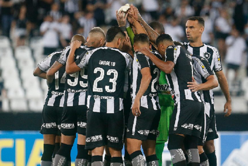 Botafogo perdeu em casa para o Avaí (Foto: Vitor Silva/Botafogo)