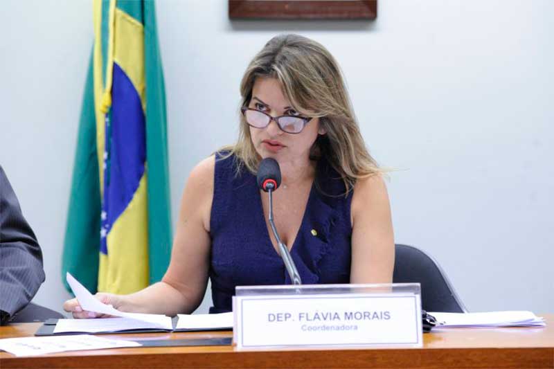 Substitutivo da deputada Flávia Morais foi aprovado (Foto: Cleia Viana/Agência Câmara)