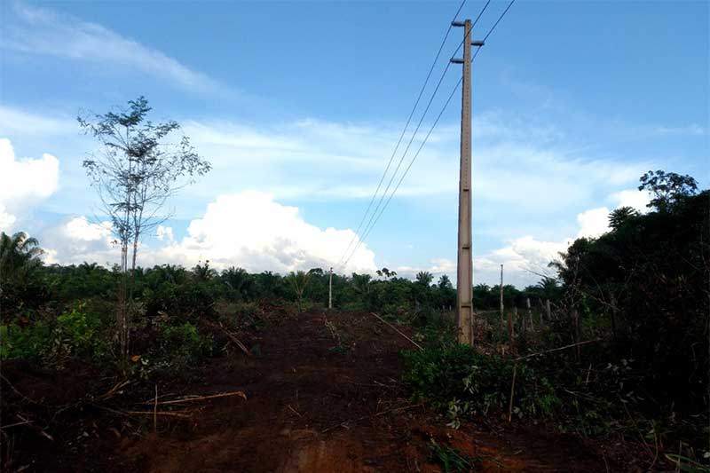 Instalação de rede de distribuição pela Equatorial Energia: MPF pede suspensão (Foto: Equatorial Energia/Divulgação)