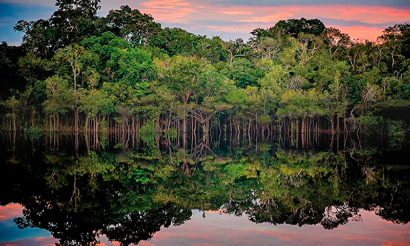 Amazônia