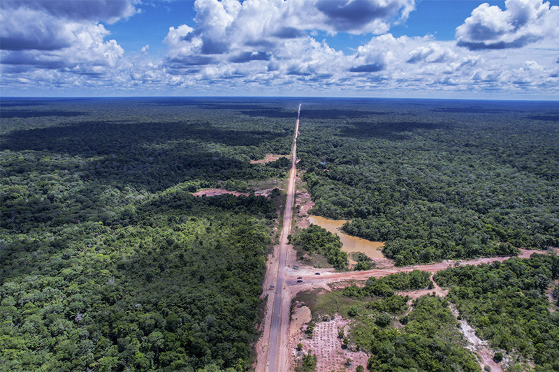 Foco Amazônia monitora decisões públicas sobre meio ambiente na Amazônia (Foto: Foco Amazônia/Divulgação)