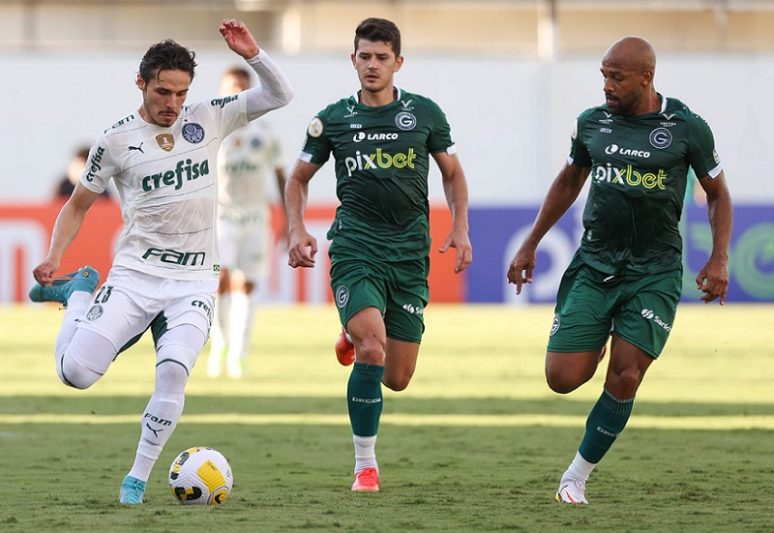 Palmeiras dominou mas sofreu para empatar com o Goiás (Foto: César Greco/Palmeiras)