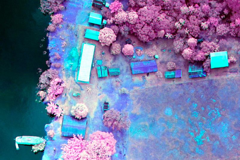 Imagens do drone carapanã-açu