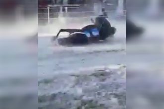 Cavalo caiu na pista durante corrida (Foto: WhatsApp/Reprodução)