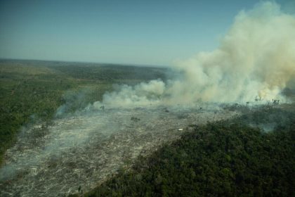 Inpe identificou aumento nas áreas desmatadas (Foto: Christian Braga/Greenpeace)
