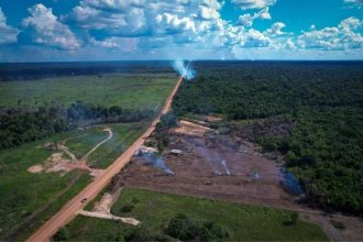 Ibama emitiu licença prévia para obras no trecho da BR-319 entre Porto Velho e Manaus (Foto: OBR-319/Orlando K Jr)