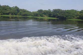 Fundo Amazônia foi suspenso pela Noruega no governo Bolsonaro (Foto: Marli Magalhães/Divulgação)