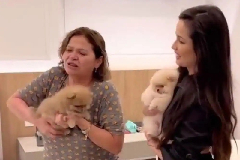 Juliette com a mãe, Fátima, e os filhotes: escolha de nomes na internet (Foto: Instagram/Reprodução)