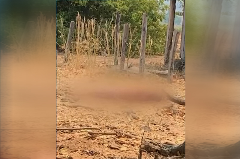 Corpo da vítima foi encontrado em área rural de cidade do Mato Grosso (Foto: JP/YouTube/Reprodução)