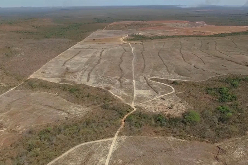 Desmatamento no cerrado avança sobre área nativa (Foto: SAD-Cerrado/Reprodução)