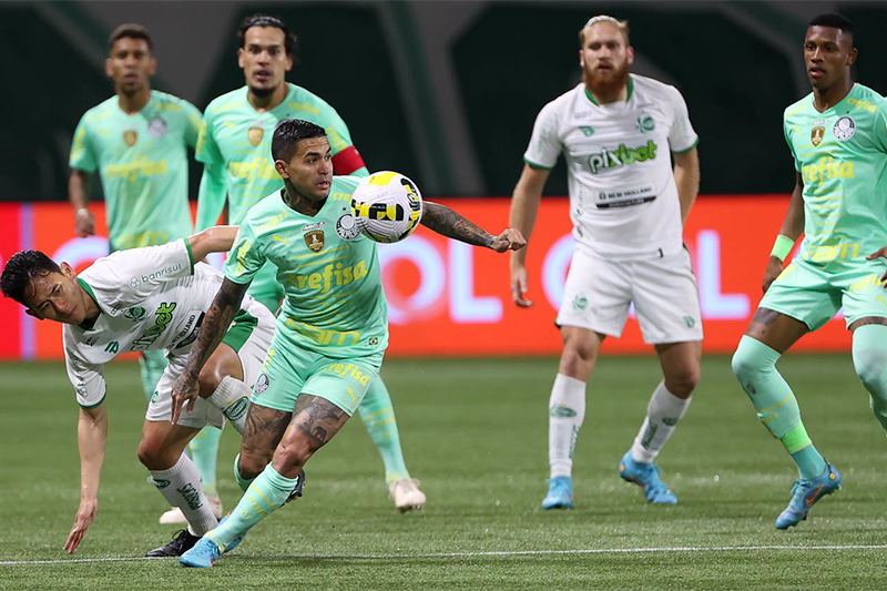 Dudu em lance de jogo: Palmeiras na liderança isolada (Foto: Cesar Greco/Palmeiras)