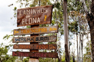 Floresta Nacional de Brasília vai diminuir de tamanho com a sanção da Lei (Foto: Ministério do Meio Ambiente/Divulgação)