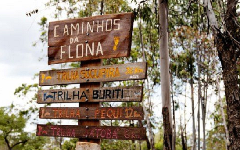 Floresta Nacional de Brasília vai diminuir de tamanho com a sanção da Lei (Foto: Ministério do Meio Ambiente/Divulgação)